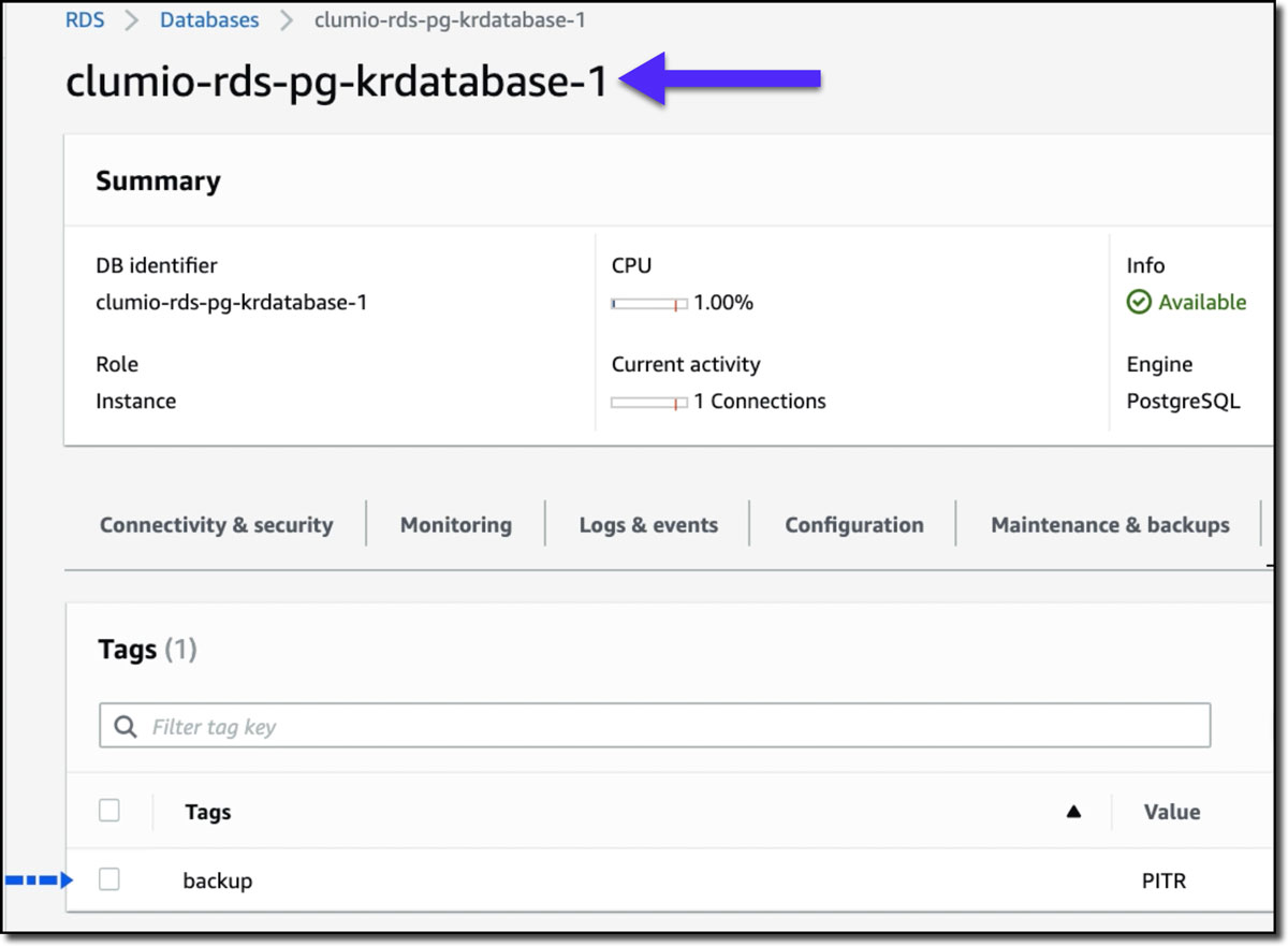 Visual demonstration of AWS RDS Operational Recovery process with Clumio (Figure 3)